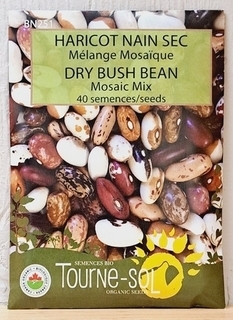 SEEDS - Bean Dry Bush Mosaic Mix (Tourne-sol)